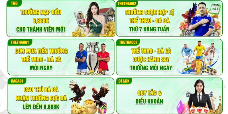 Hoàn trả cược không giới hạn